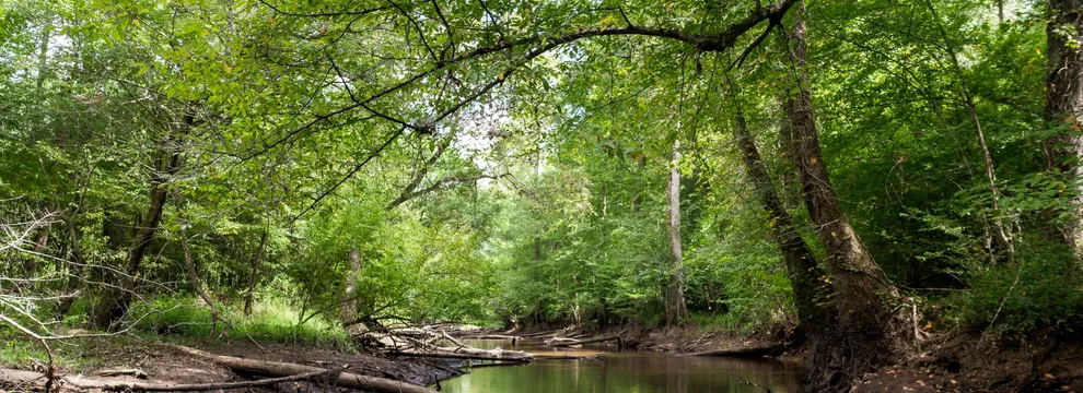 Hunting Land for sale in Jefferson County, Georgia
