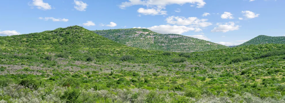 Recreational Property for sale in Uvalde County, Texas