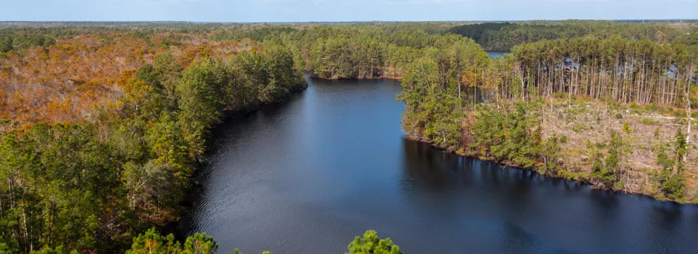 Hunting Land for sale in Effingham County, Georgia