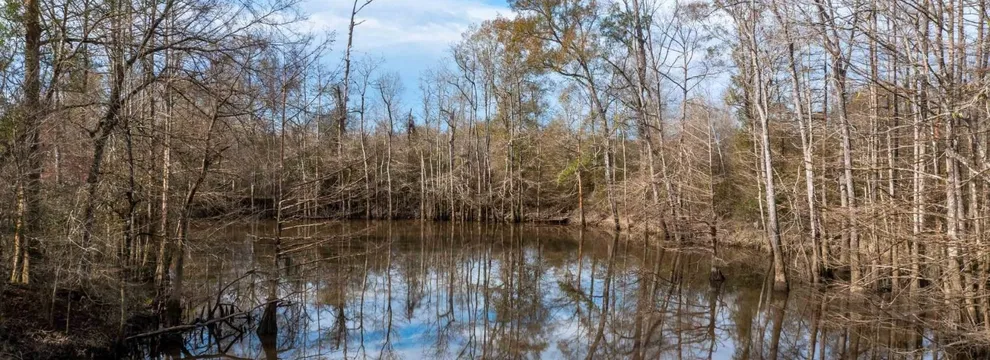 Lakefront Property for sale in Allen Parish, Louisiana