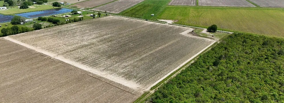 Property for sale in Acadia Parish, Louisiana
