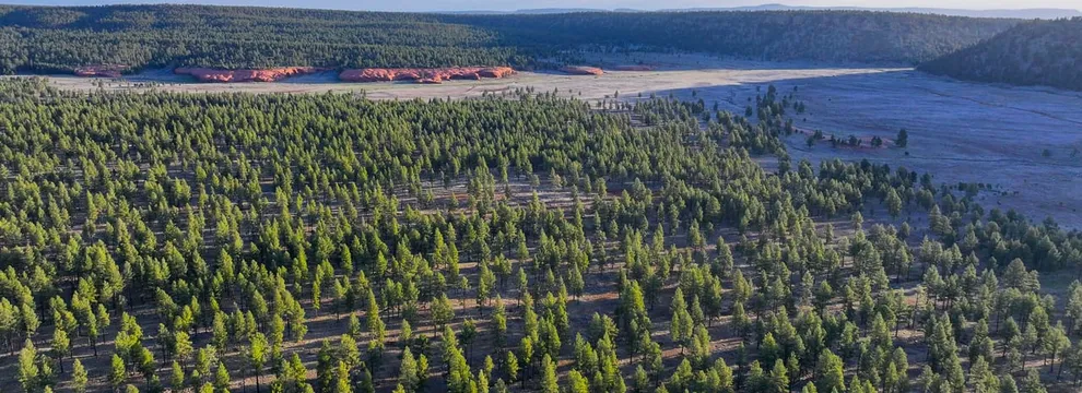 Ranch Property for sale in Cibola County, New Mexico