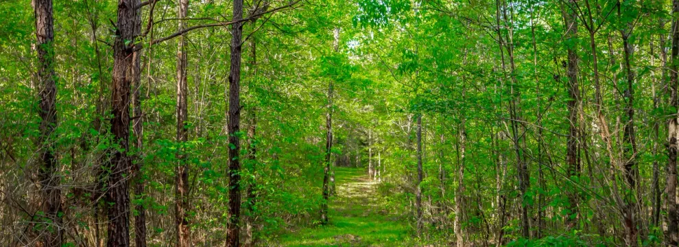 Property for sale in Saluda County, South Carolina