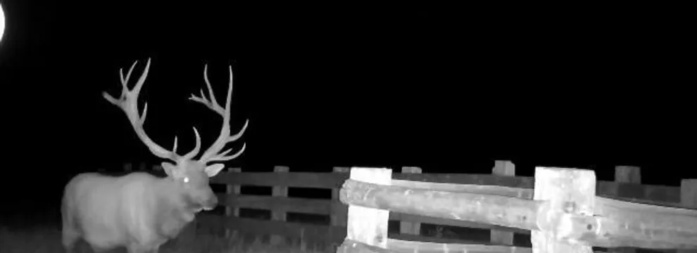 Recreational Property for sale in Yellowstone County, Montana