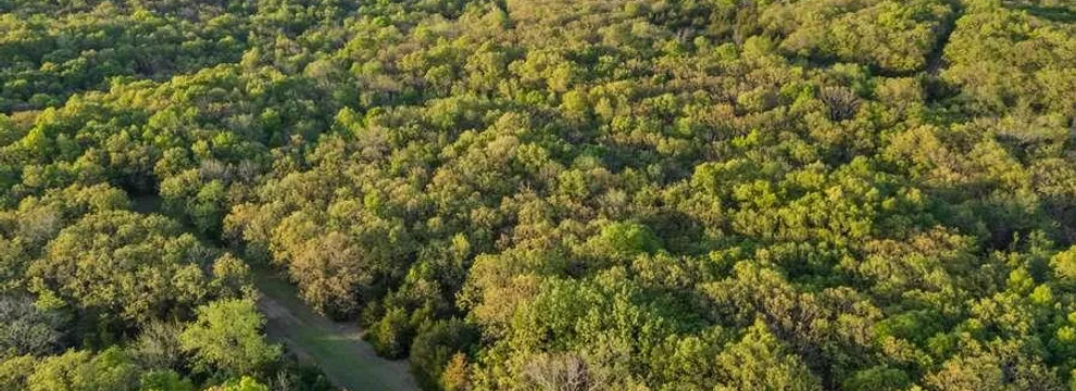 Undeveloped Land for sale in Benton County, Missouri