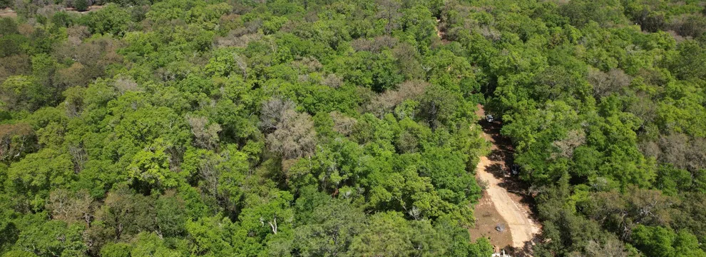 Undeveloped Land for sale in Putnam County, Florida