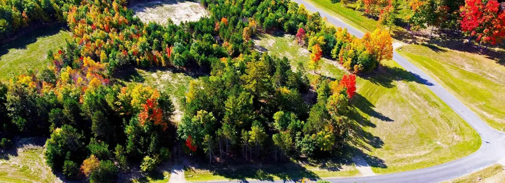 Undeveloped Land for sale in Grand Traverse County, Michigan