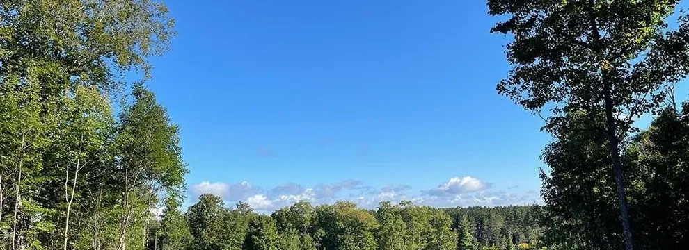 Undeveloped Land for sale in Grand Traverse County, Michigan