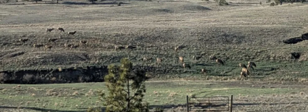 Property for sale in Park County, Colorado