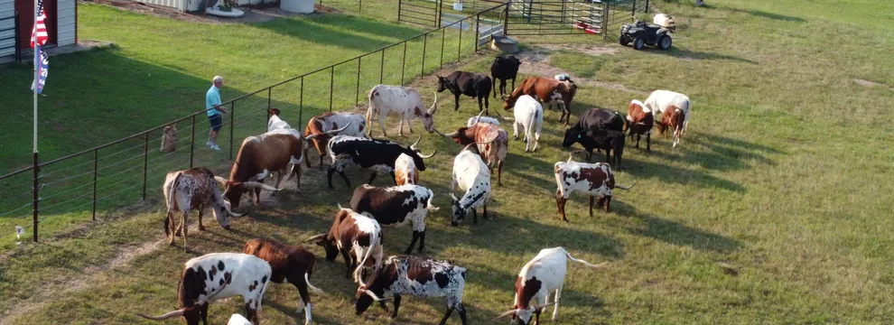Ranch Property for sale in Bowie County, Texas