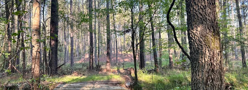 Timberland Property for sale in Chester County, South Carolina