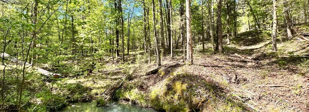 Timberland Property for sale in Chester County, South Carolina