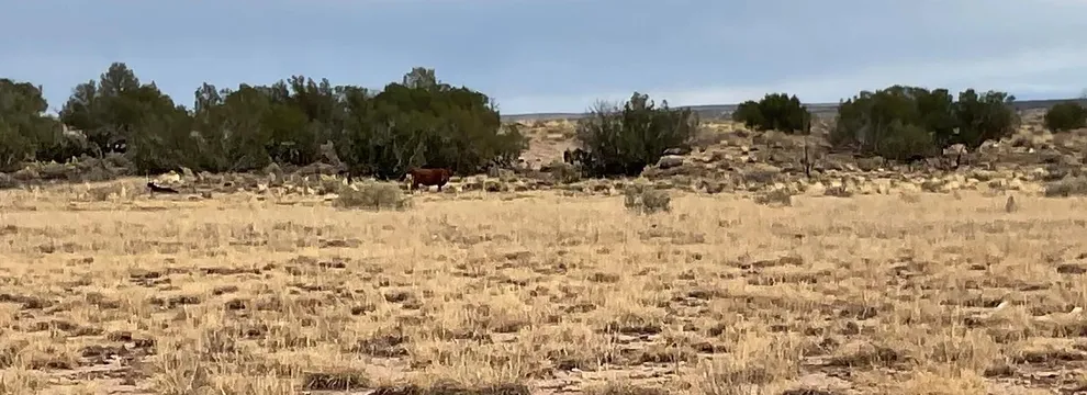 Recreational Property for sale in Apache County, Arizona