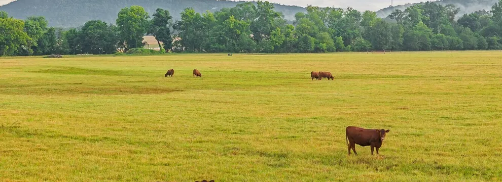 Recreational Property for sale in Talladega County, Alabama