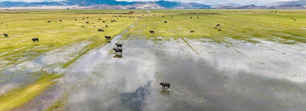 Ranch Property for sale in Saguache County, Colorado