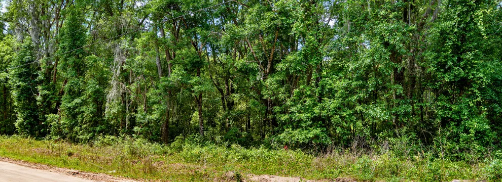 Undeveloped Land for sale in Putnam County, Florida