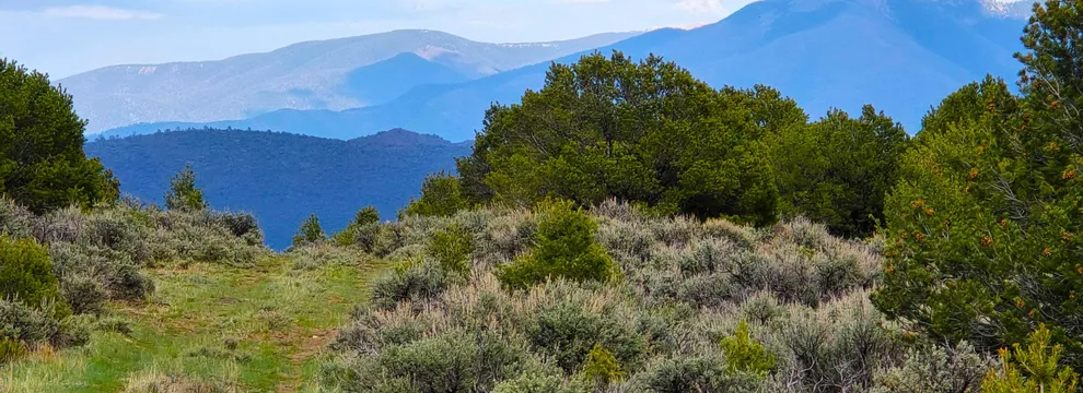 Recreational Property for sale in Taos County, New Mexico