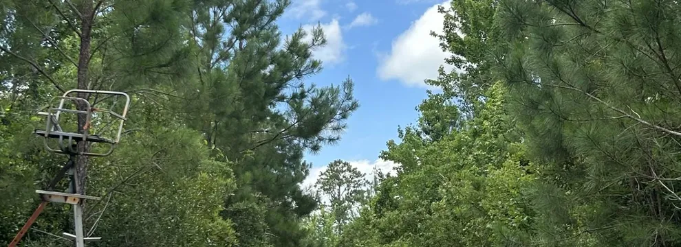 Undeveloped Land for sale in Pamlico County, North Carolina