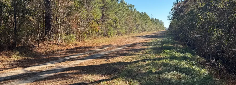 Undeveloped Land for sale in Pamlico County, North Carolina