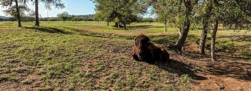 Riverfront Property for sale in Kerr County, Texas