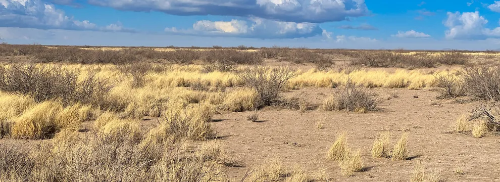 Residential Property for sale in Luna County, New Mexico