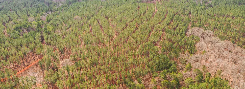 Timberland Property for sale in Heard County, Georgia