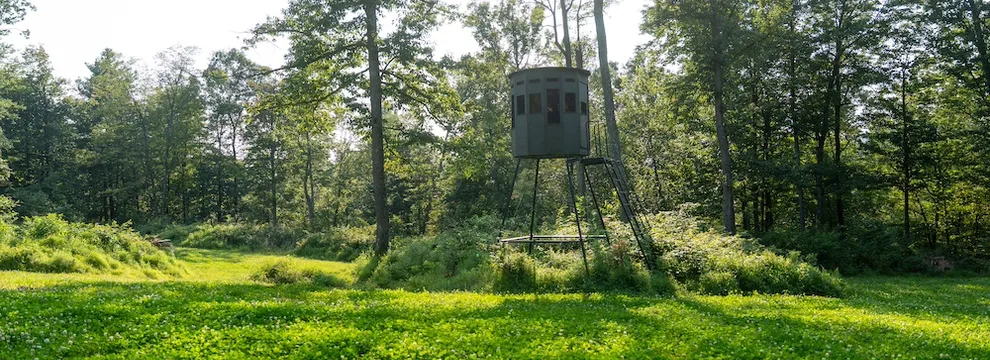 Undeveloped Land for sale in Fulton County, Pennsylvania