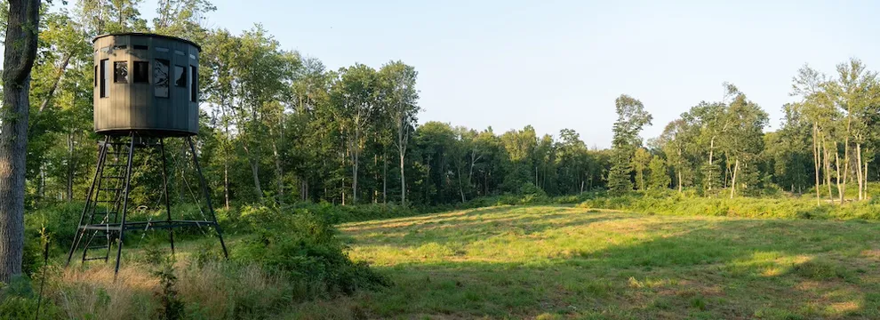 Undeveloped Land for sale in Fulton County, Pennsylvania