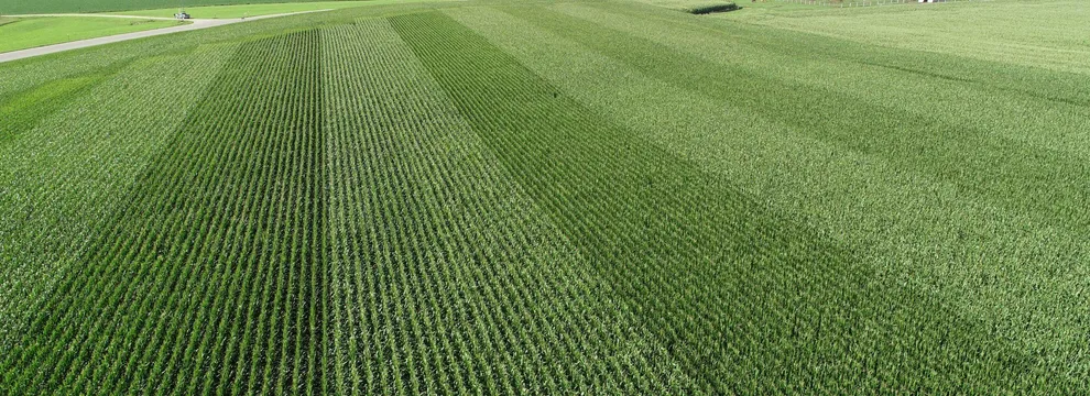 Property for sale in Nobles County, Minnesota