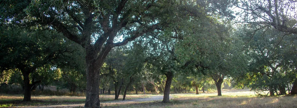 Ranch Property for sale in Bosque County, Texas