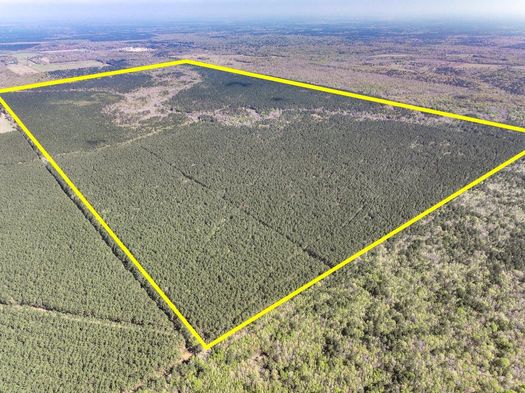 Texas 105, Batson, TX 77519 | Land.com