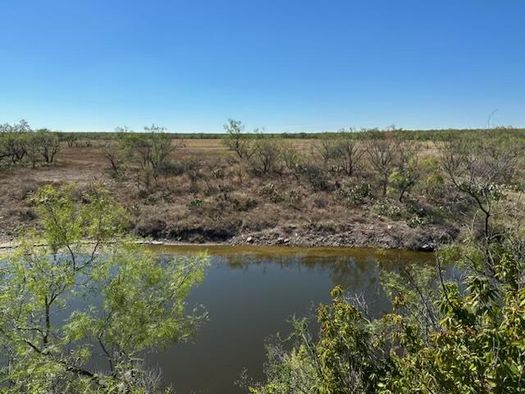 Hunting, Concho Ranch