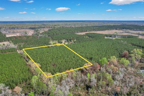 Land for Sale in Georgia between 10 and 10 Acres - 113 Properties 