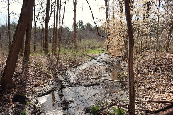 Hollister Way, Lot#WP001, Burnt Hills, NY 12027 MLS: 11274582