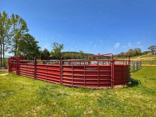 Horse Properties for Sale in Alabama 110 Properties