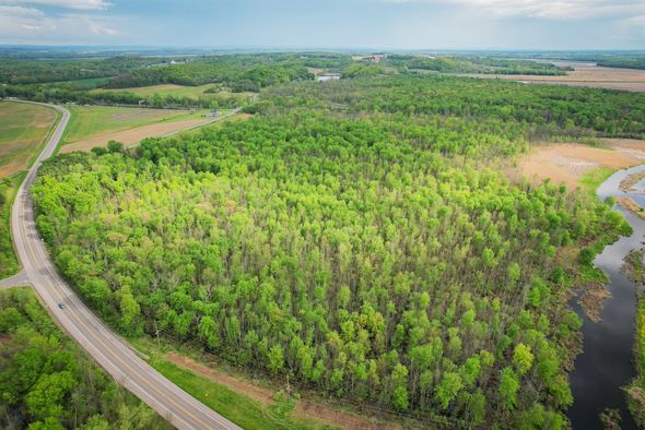 Timberland Properties for Sale in Western New York Region 27