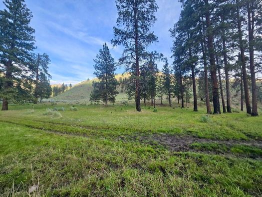 Land for Sale in Washington between 70 and 80 Acres 49 Properties