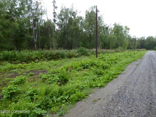 Trapper Creek Wilderness Creek Trail Lost Creek Wilderness Loop Trail