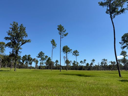 acres in Micanopy, FL, 32667 MLS: OM708933