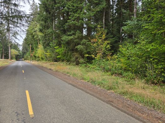 Land for Sale in Washington between 80 and 90 Acres 47