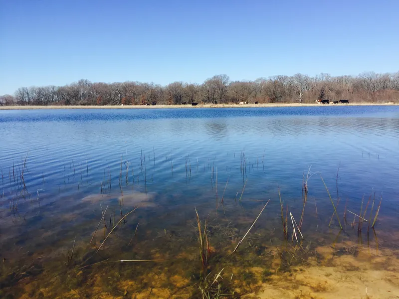 Ranch Property in Hopkins County, Texas
