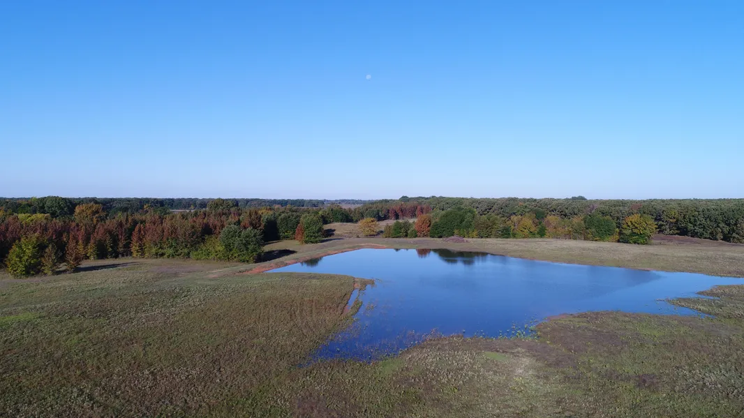 Ranch Property in Hopkins County, Texas