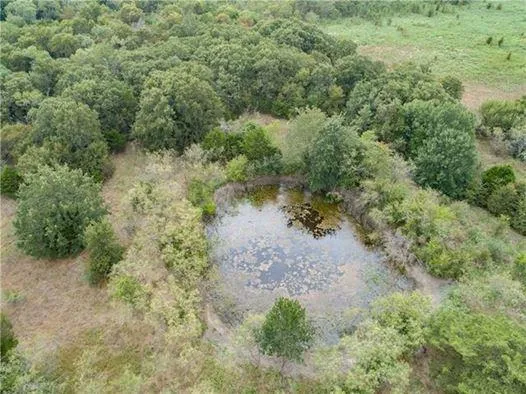 Recreational Property in Navarro County, Texas