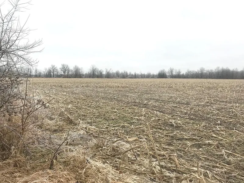 Farm Property in Delaware County, Ohio