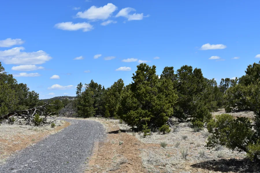 Ranch Property in Catron County, New Mexico