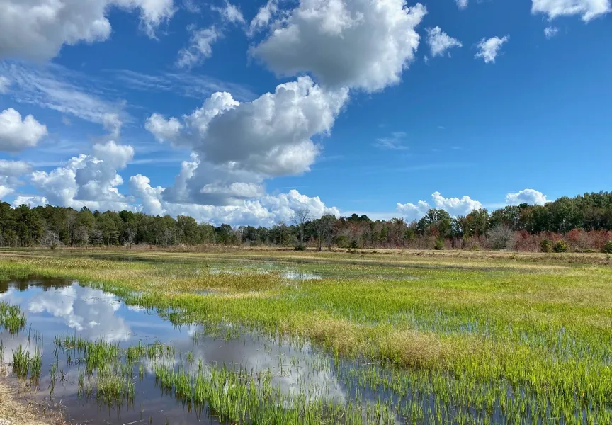 Recreational Property in Clarendon County, South Carolina