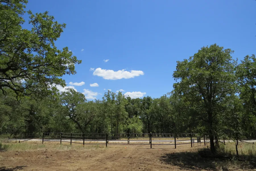 Ranch Property in Jack County, Texas