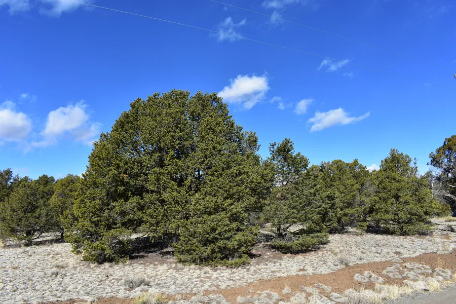 Ranch Property in Cibola County, New Mexico