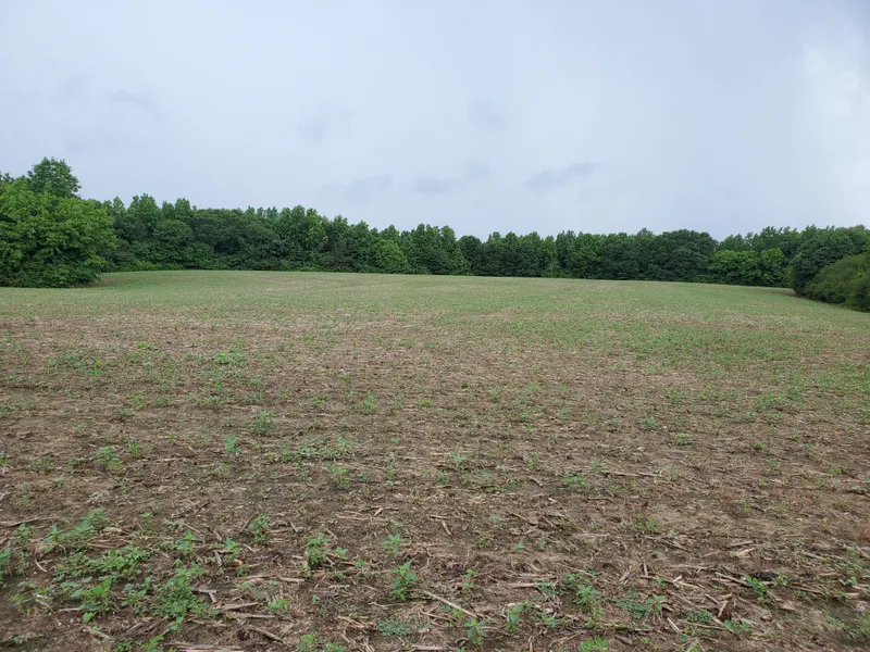 Farm Property in Blount County, Alabama