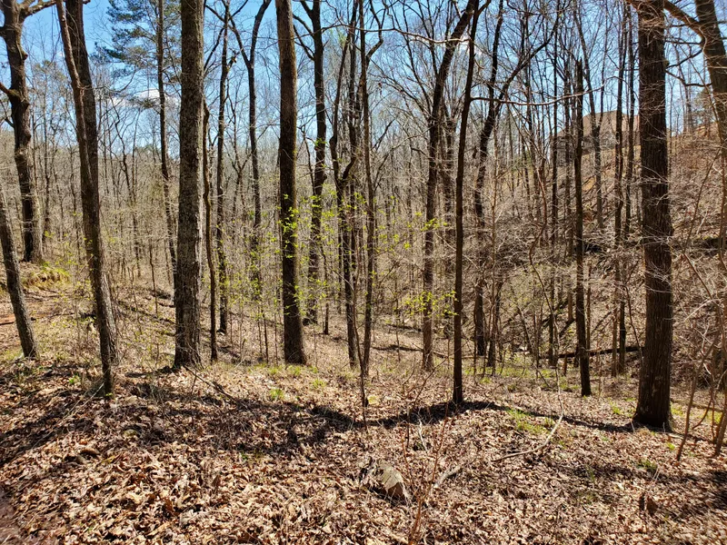 Recreational Property in Saint Clair County, Alabama